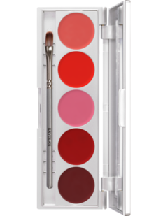 LIP ROUGE SET DE 5 COLORES (Art 1215)