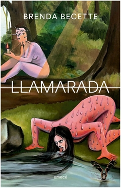 llamarada