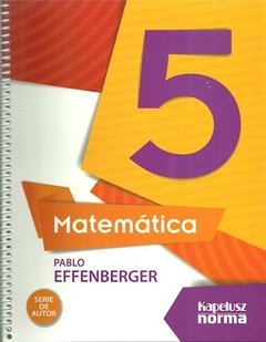 Matematica effenberger 5