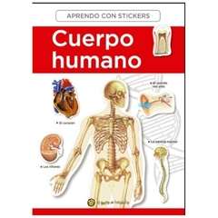 cuerpo humano