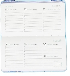 AGENDA MOOVING POCKET SPRING ESPIRAL SEMANAL - comprar online