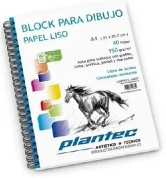 BLOCK PLANTEC A4 150 GR 15627 ANILLADO LATERAL