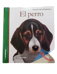 Perro, el - primeros descubrimientos