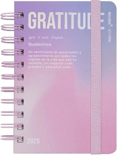 AGENDA MOOVING 10X15 2 DIAS X HOJA ESPIRAL DICTIO PASTEL - comprar online