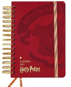 AGENDA MOOVING 14x20 DIA X HOJA ESPIRAL HARRY POTTER