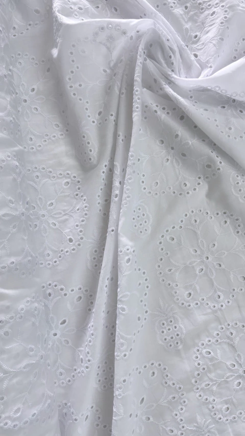 Tecido Laise De Bico Bordada Branca - L8