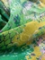 Tecido Crepe De Chine Light De Seda S11 - comprar online