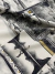 Tecido Tricoline Camisaria Estampado - T133 - comprar online