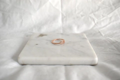 ANILLO WAYNE en internet