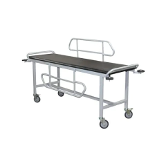 Camilla De Traslado Para Pacientes Con Barandas en internet