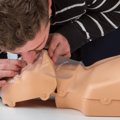 Torso superior p/ RCP sobre adultos y niños con bolso en internet