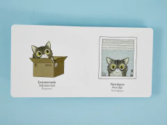 ¡MIAU! - 2a edición. Español, inglés y francés - Raeioul Inc.