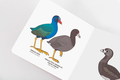 Preventa: Fiu-fiu Vol 3. Bogotá + libreta