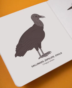 Fiu-fiu Medellín (2a edición) - comprar online