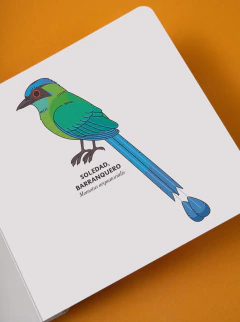 Fiu-fiu Medellín (2a edición) - Raeioul Inc.