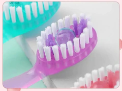 cepillos de dientes con pasta 12pcs - comprar online