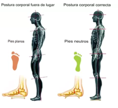 plantillas correctivas con soporte de arco talle del 40 al 46 - comprar online