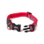 Collar Lite Red en internet