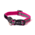 Collar Lite Pink - comprar online