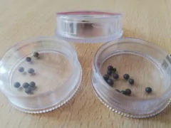 Cajita sonajero 3,5cm. x 12 unidades - comprar online