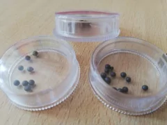 Cajita sonajero 2,5cm. x 20 unidades - comprar online