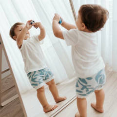 CONJUNTO BRISA na internet