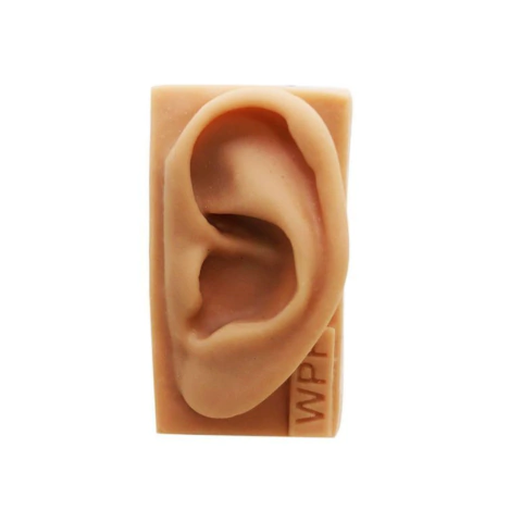 Modelo Orelha Humana Silicone - Prof Wagner P. Fonseca