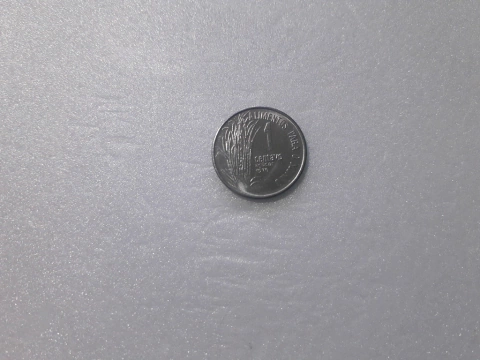 Moeda de 1 Centavo de 1976 Aço Inox FAO Flor de Cunho