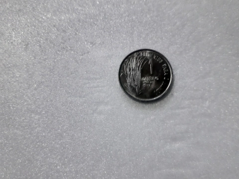 Moeda de 1 Centavo de 1977 Aço Inox FAO Flor de Cunho AI 32