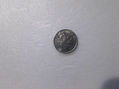 Moeda de 2 Centavos de 1977 Aço Inox FAO Flor de Cunho