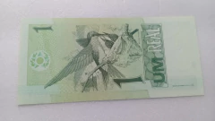Cédula de 1 Real de 2003 C254 Serie A 3993065922 C Chancelas de Antônio Palocci e Henrique Meirelles Flor de Estampa - comprar online