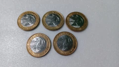 Moedas de 1 Real de 2019 dos 25 anos do Plano Real BEIJA FLOR (Lote 5 Moedas Circuladas ) ML 01