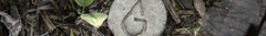 Banner de la categoría Shampú sólido