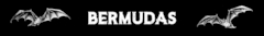 Banner de la categoría Bermudas