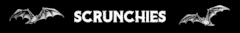 Banner de la categoría Scrunchies