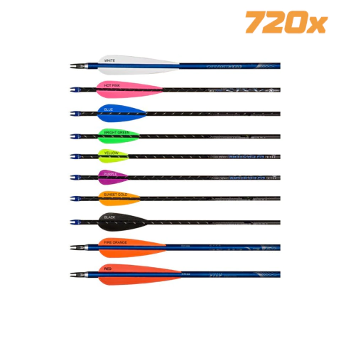 Flecha Skylon Brixxon