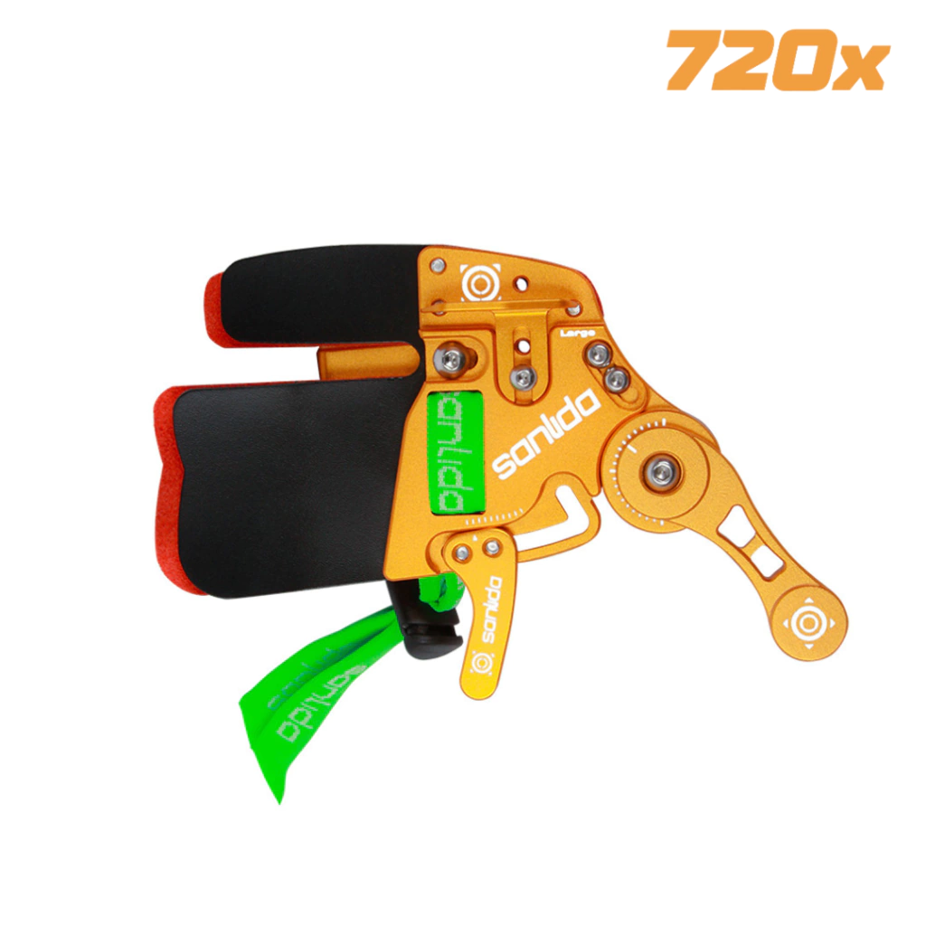 Dedeira Sanlida X10 - comprar online