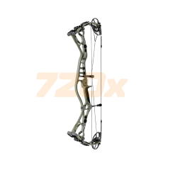 Arco Composto Sanlida - DRAGON 10 - comprar online