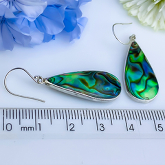 Imagem do Brincos de prata 925 com abalone natural (B2191)