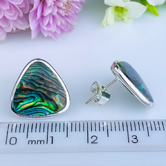 Brincos de prata 925 e abalone (B2295) na internet