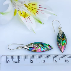 Imagem do Brincos de prata 925 e abalone (B2422)