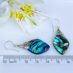 Imagem do Brincos de prata 925 e abalone (B2421)