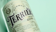 Terrier Gin - CITRIC - comprar online