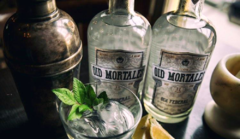 OID MORTALES GIN - comprar online