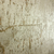 Papel de Parede Textura Grafiato Dourado Detalhes em Brilho Glitter - Coleção Adi Tare 2 200106L | 10 metros | Cola Grátis