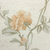 Zoom do Papel de Parede Floral Bege e Pêssego Brilho - Coleção Classic Designs - 10 metros | 2890701 - Ciça Braga