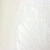 Detalhes do Papel de Parede Folhagem Off-White com Brilho - Coleção Refúgio Bobinex 4544 | 10 metros | Cola Grátis - Ciça Braga