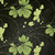 Papel de Parede Floral Verde e Marrom Escuro (Detalhes com brilho) -  Tropical Texture - Importado Lavável | TRT-710407 - Ciça Braga