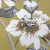 Mais detalhes do Papel de Parede Flores e Pássaros Amarelo, Off-White e Cinza - Coleção Summer 78801 | 10 metros | Cola Grátis - Ciça Braga