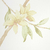 Zoom do Papel de Parede Floral e Pássaros Rosa e Amarelo - 10 metros | 811054 - Coleção Fragrant Roses - Ciça Braga